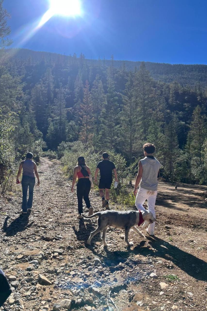 Camping En La Sierra De Arteaga Los Lirios 外观 照片