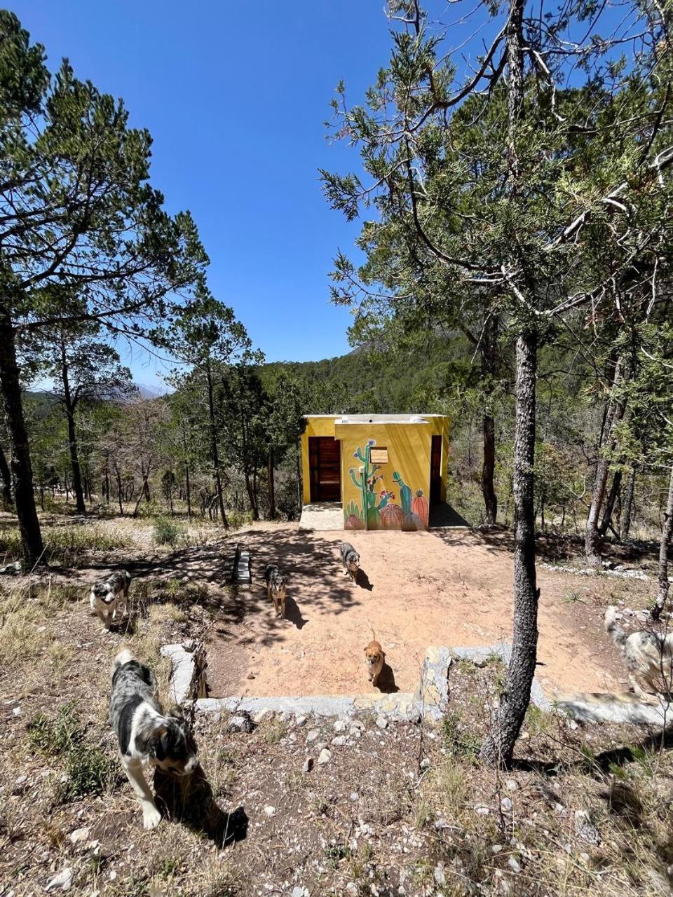 Camping En La Sierra De Arteaga Los Lirios 外观 照片