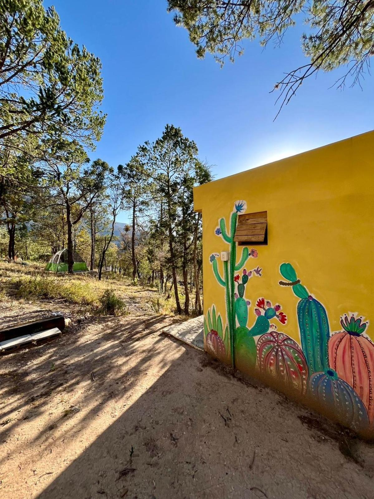 Camping En La Sierra De Arteaga Los Lirios 外观 照片