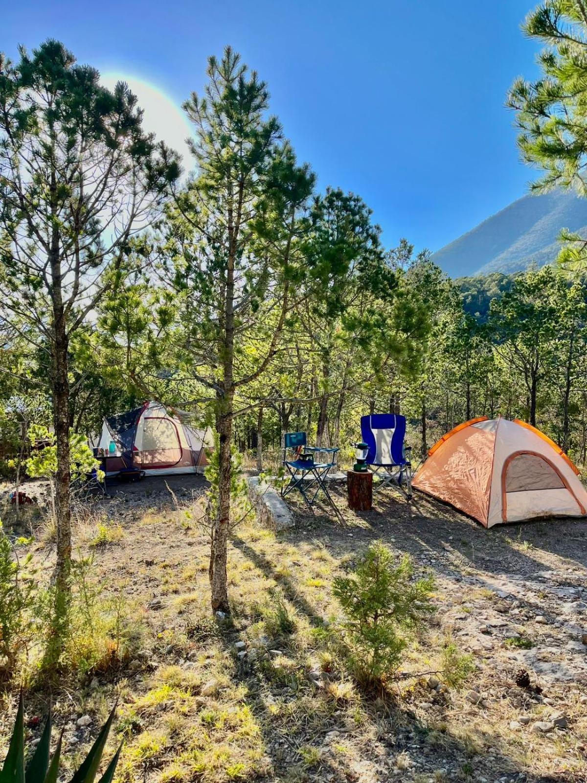Camping En La Sierra De Arteaga Los Lirios 外观 照片